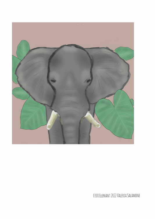 ELEPHANT CROSSING - valerie-digital-art