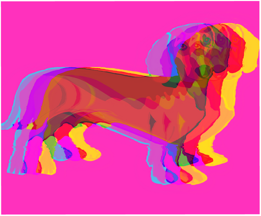 POP SUZY MY DOG - valerie-digital-art